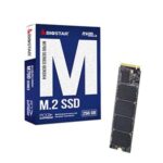 Biostar M760 Series Gen 3X4 256GB M.2 SSD